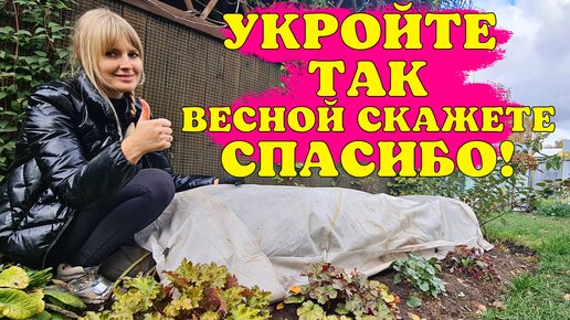 Не замёрзнут и не погибнут! Самое простое и надёжное укрытие роз на зиму