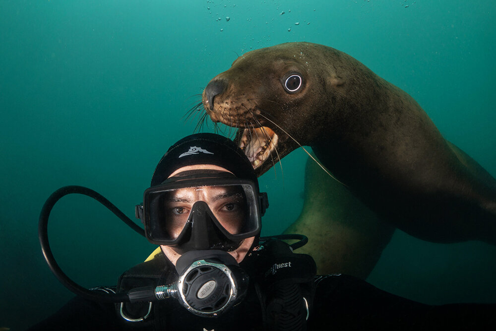 Селфи с сивучем Фото: Дмитрий Кох