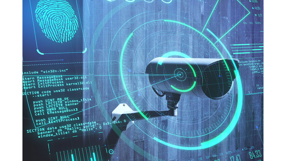    Фото: Who is Danny / stock.adobe.com