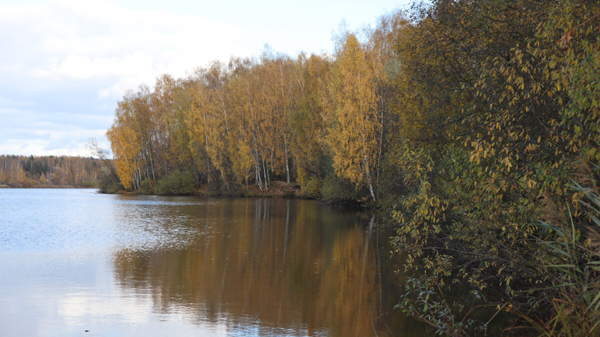 Завораживает, я очень люблю осенние пейзажи на рыбалке.