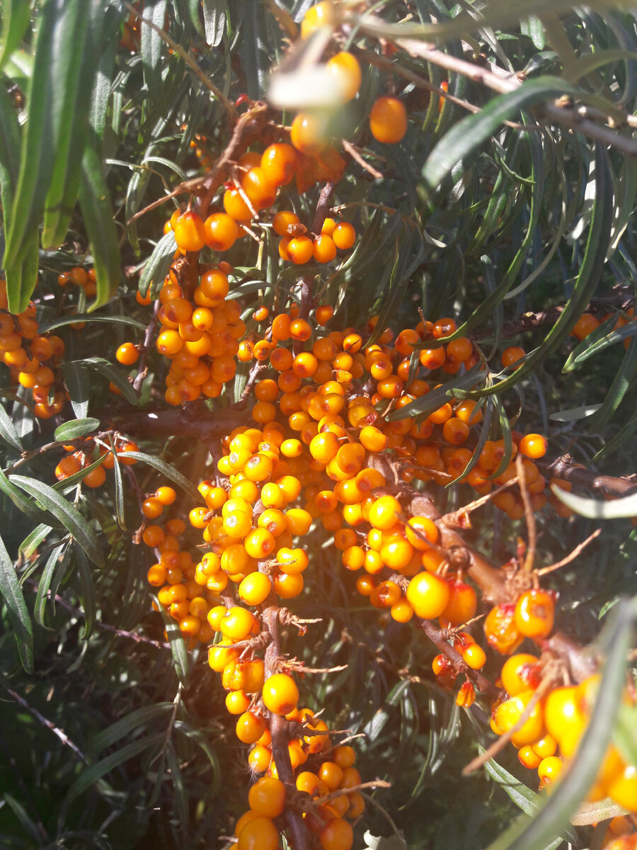 Из личного архива