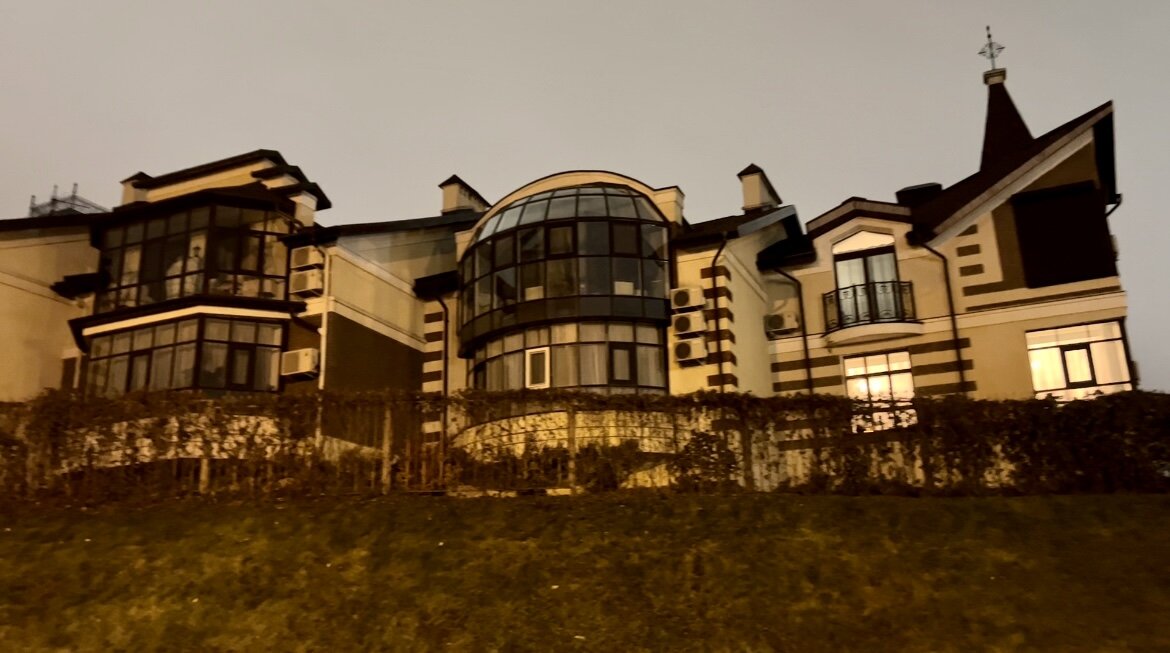 Путешествие собачников // Казань