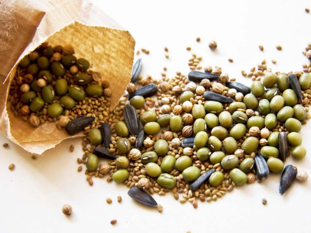 Январь - выбирай семена.