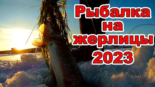 Рыбалка на жерлицы 2023