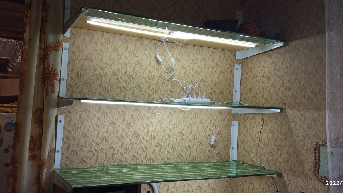 конструкция из кронштейнов и фанеры - самый недорогой вариант устройства стеллажа для цветов 