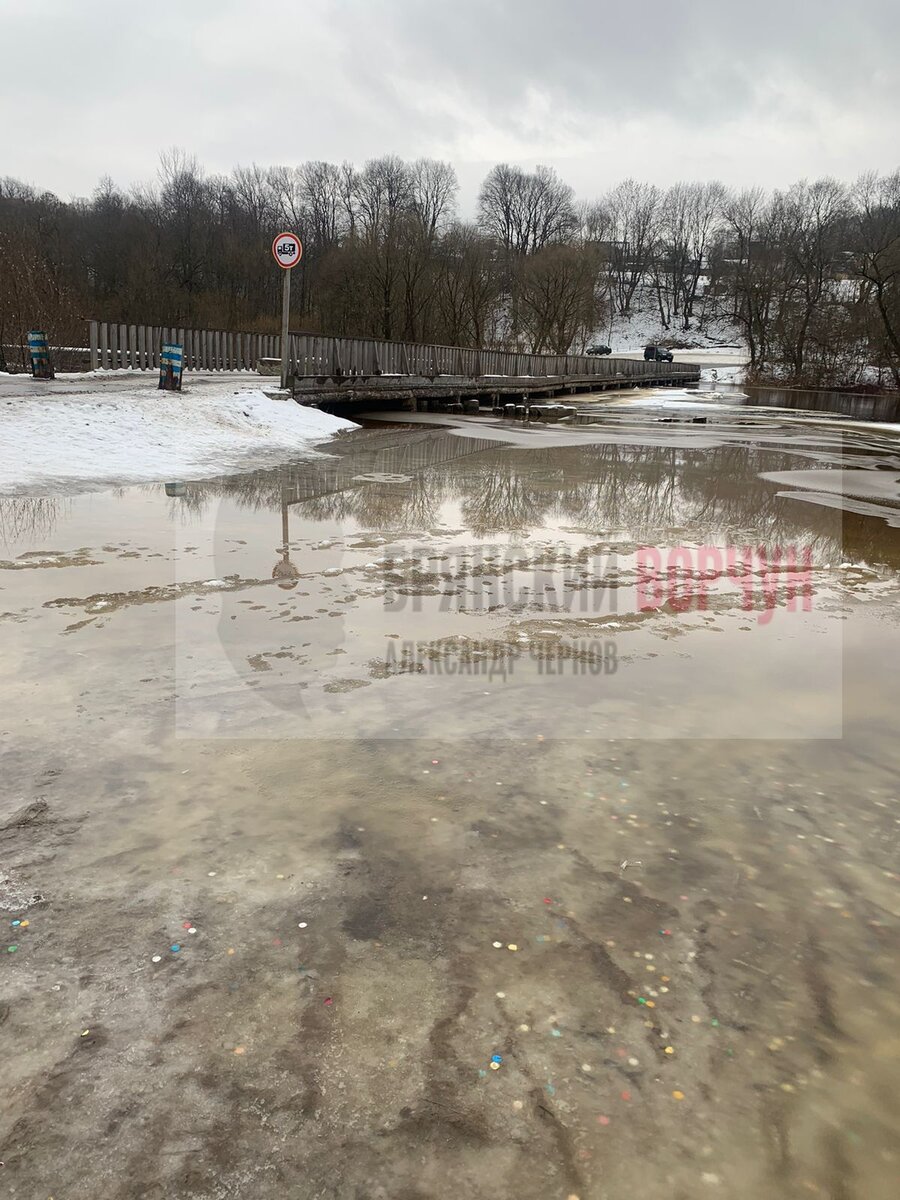    В брянском городе Сельцо закрыли для движения мост через Десну из-за зимнего паводка avchernov