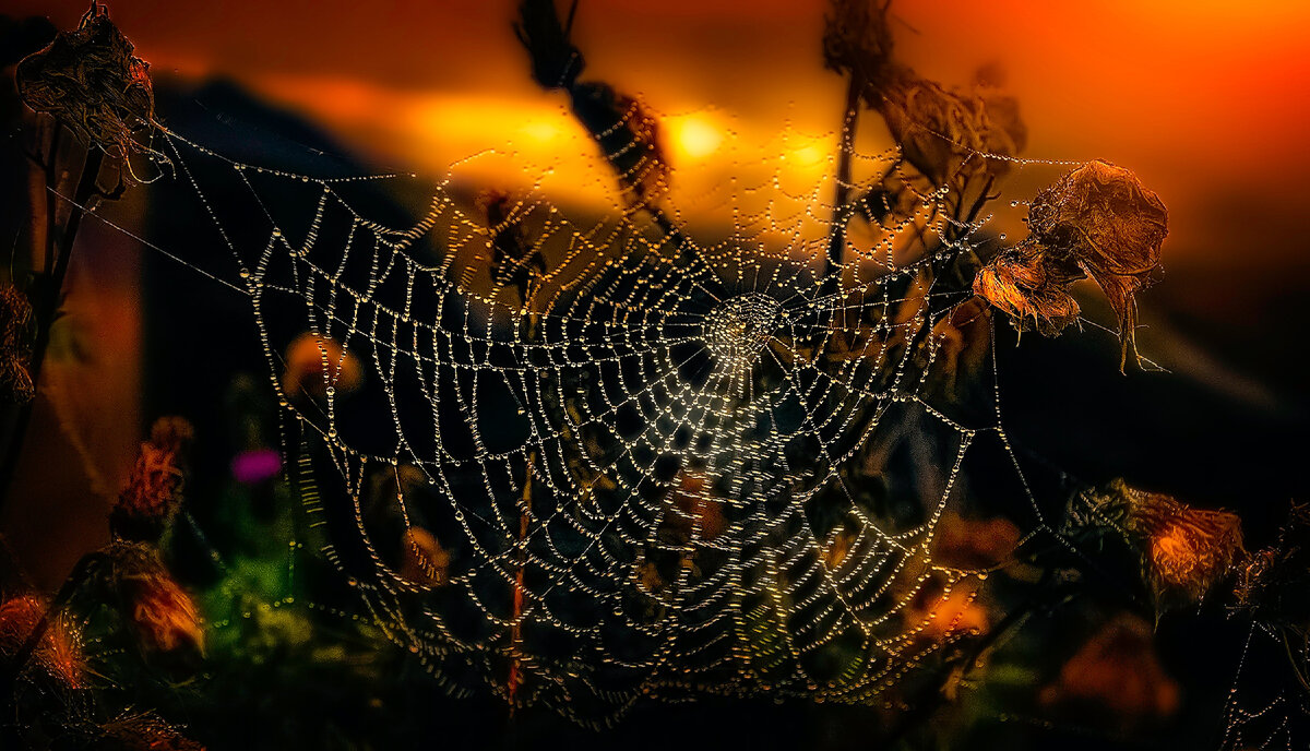 Фото автора Ray Bilcliff: Pexels