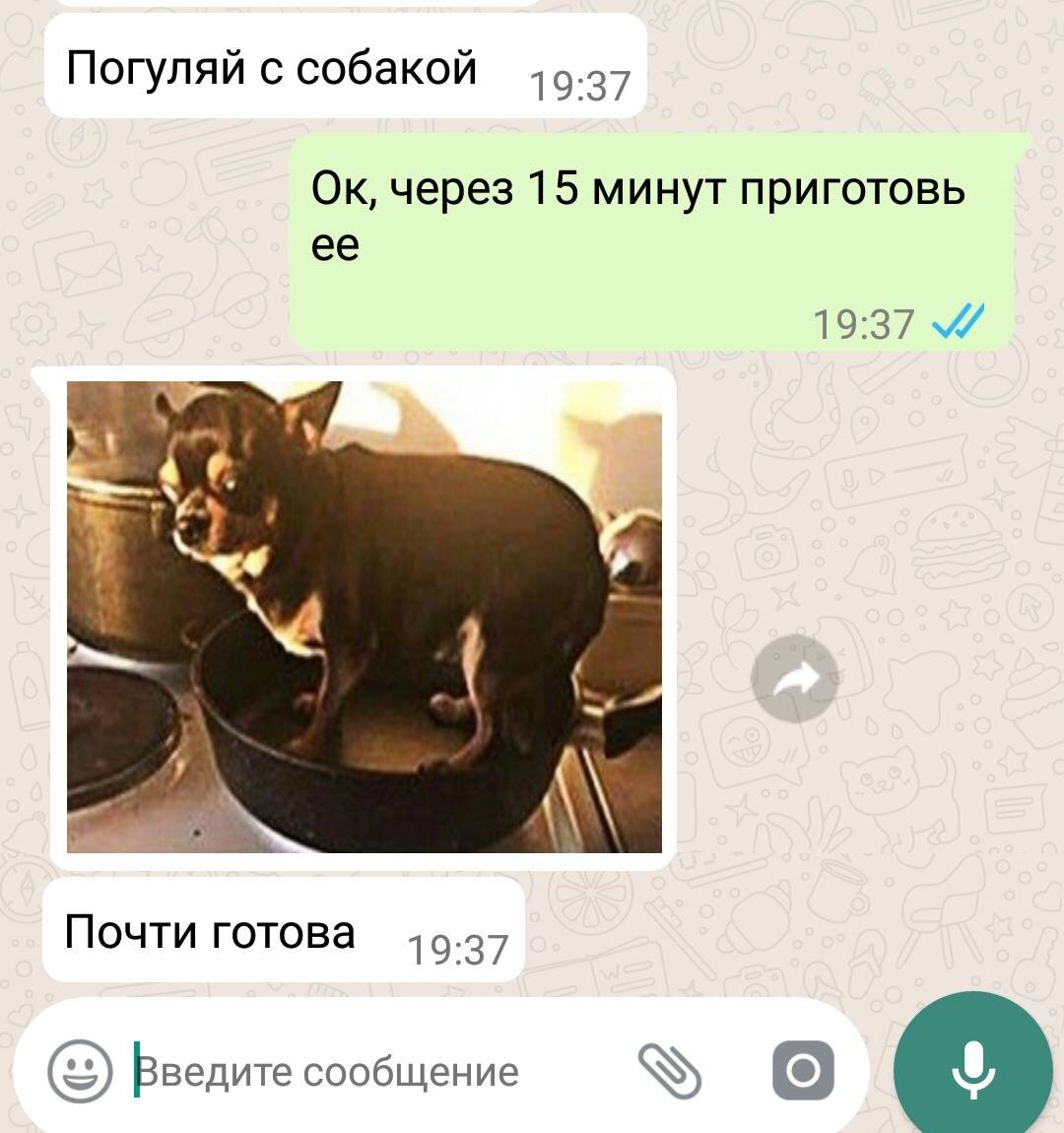 Бедный пёсик