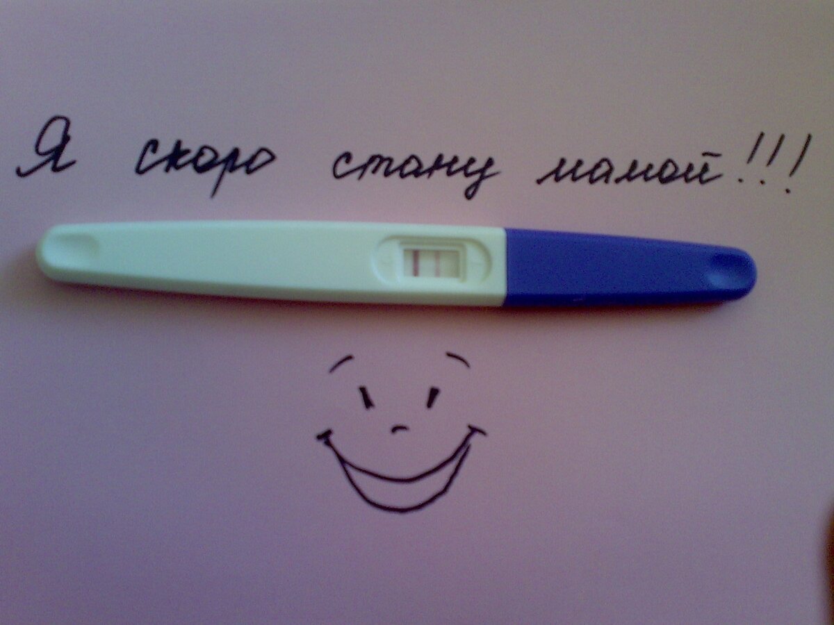 Изображение взято из интернета.