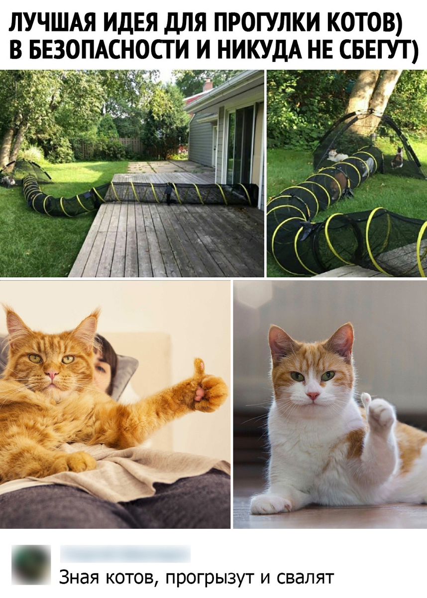 Круто и мило)