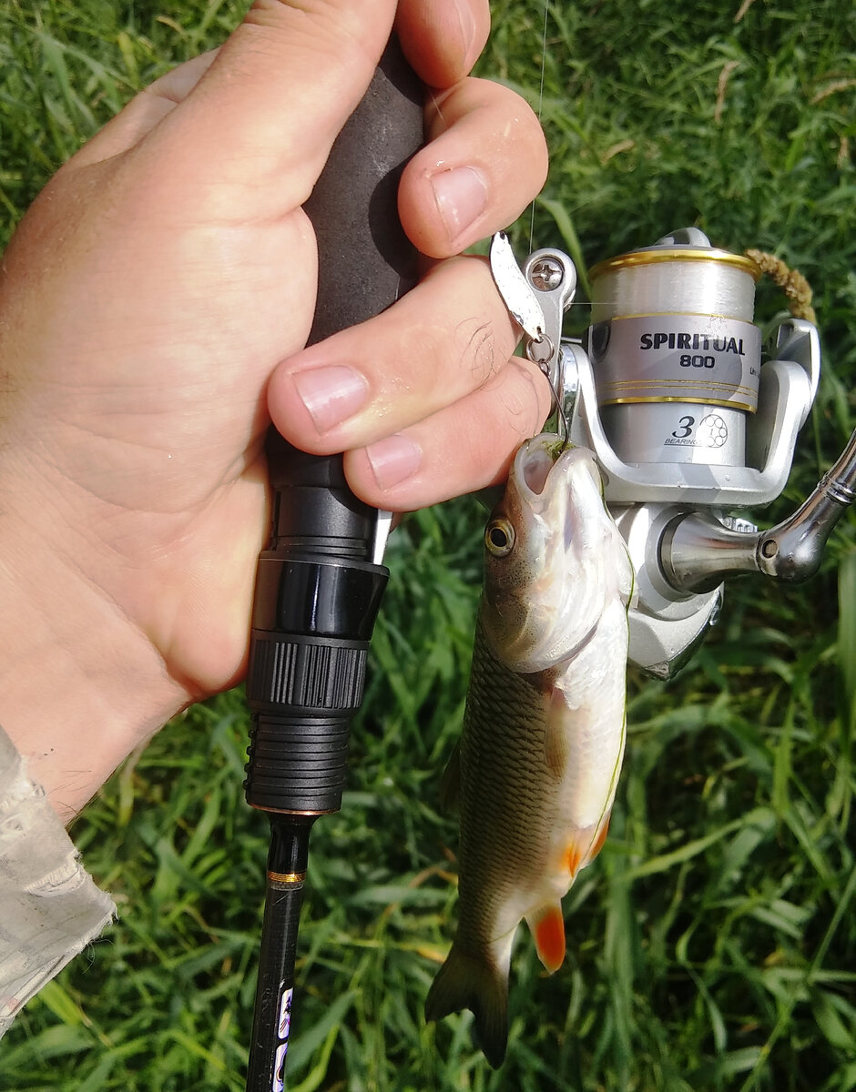 вот из-под прозрачного флюра выглядывает белый экономайзер