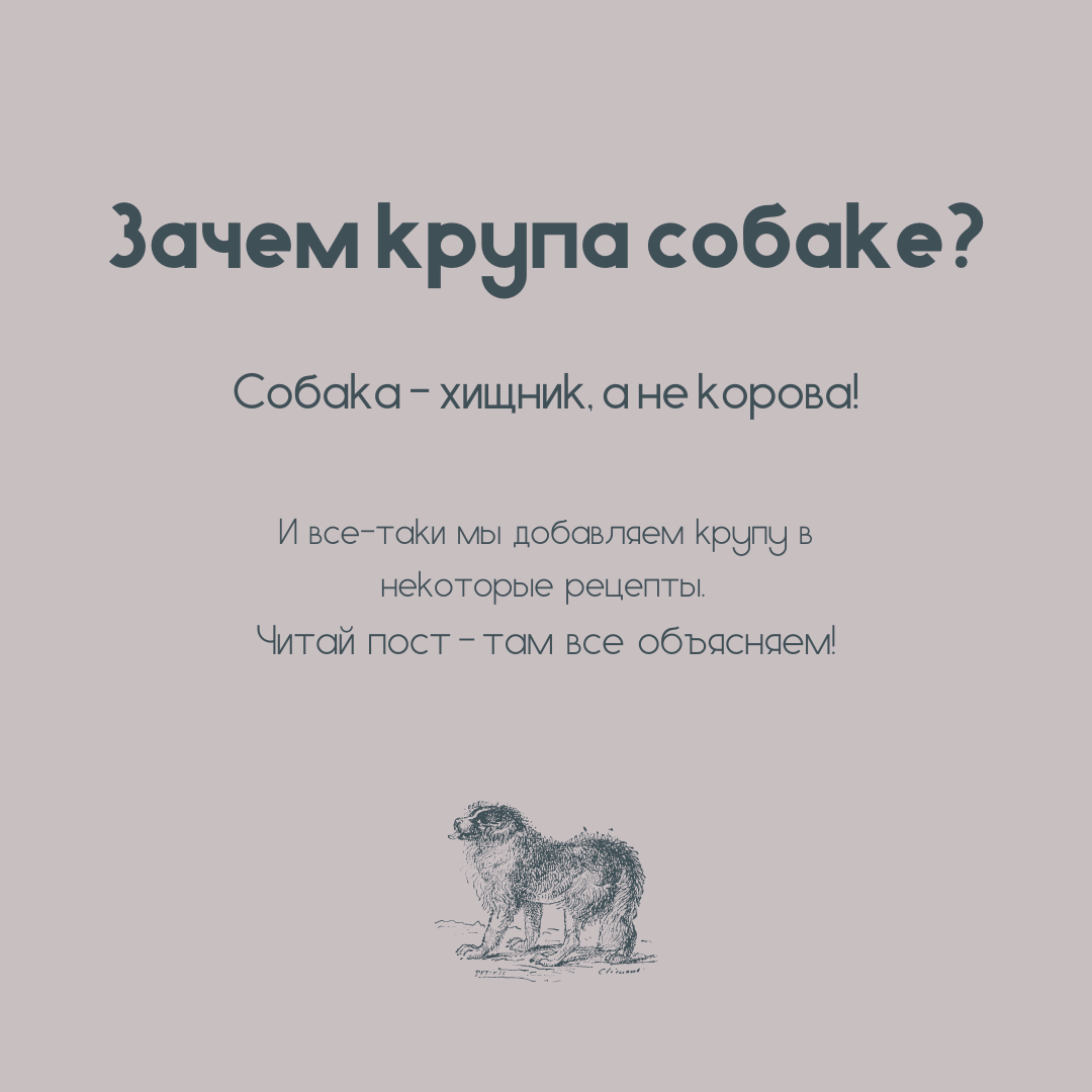 Нужна ли крупа собаке?