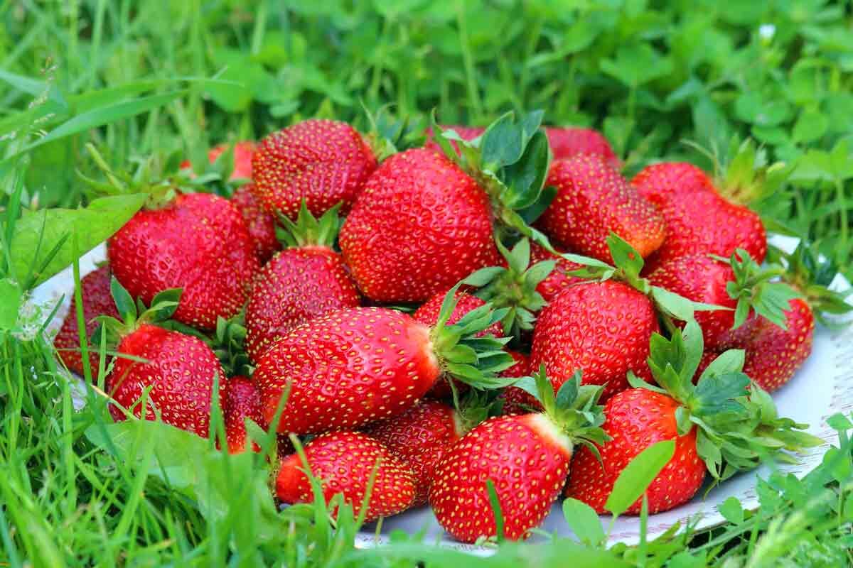 Фото с Яндекс.картинки