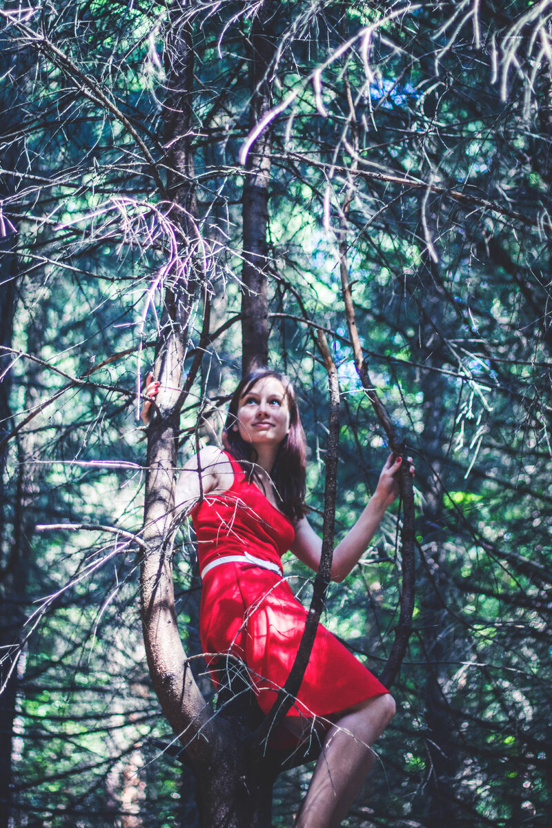 Редкий момент, когда я решила-таки свить гнездо. Словарное