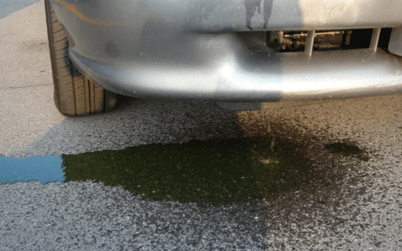 Этиленгликоль невероятно ядовит, и мысль лизнуть такую лужицу вполне может стать последней, что придет в голову собаке. Фото Leahy's Auto