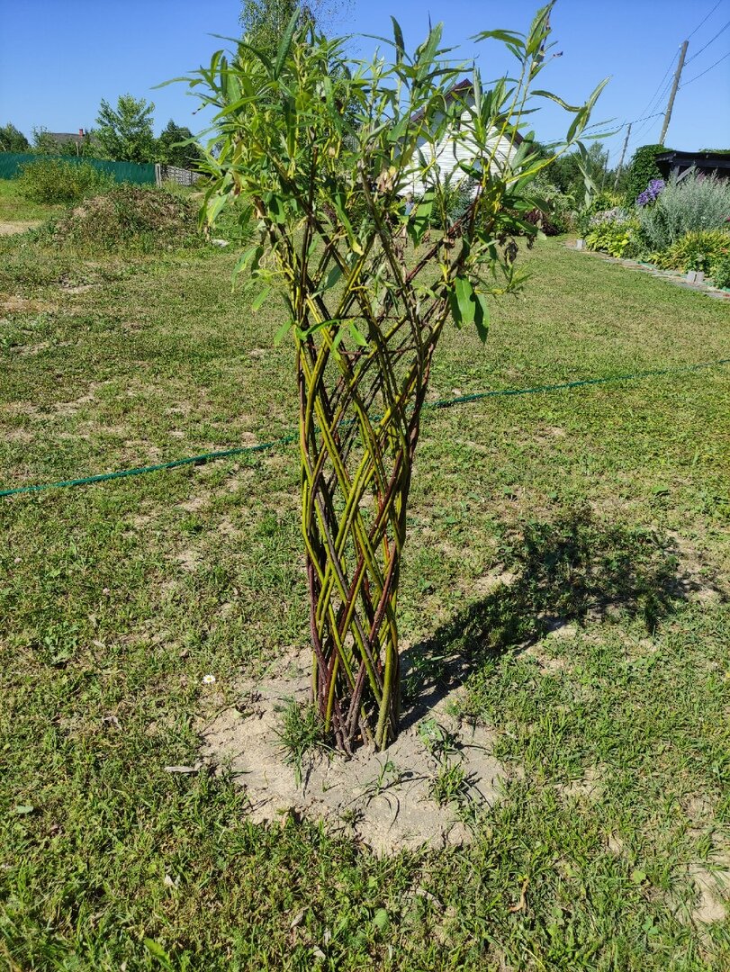 Источник: Картинка взята из общего пользования.