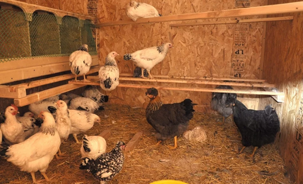 Фото из источника pro-kyr.ru