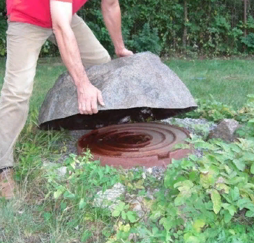 источник:яндекс картинки 