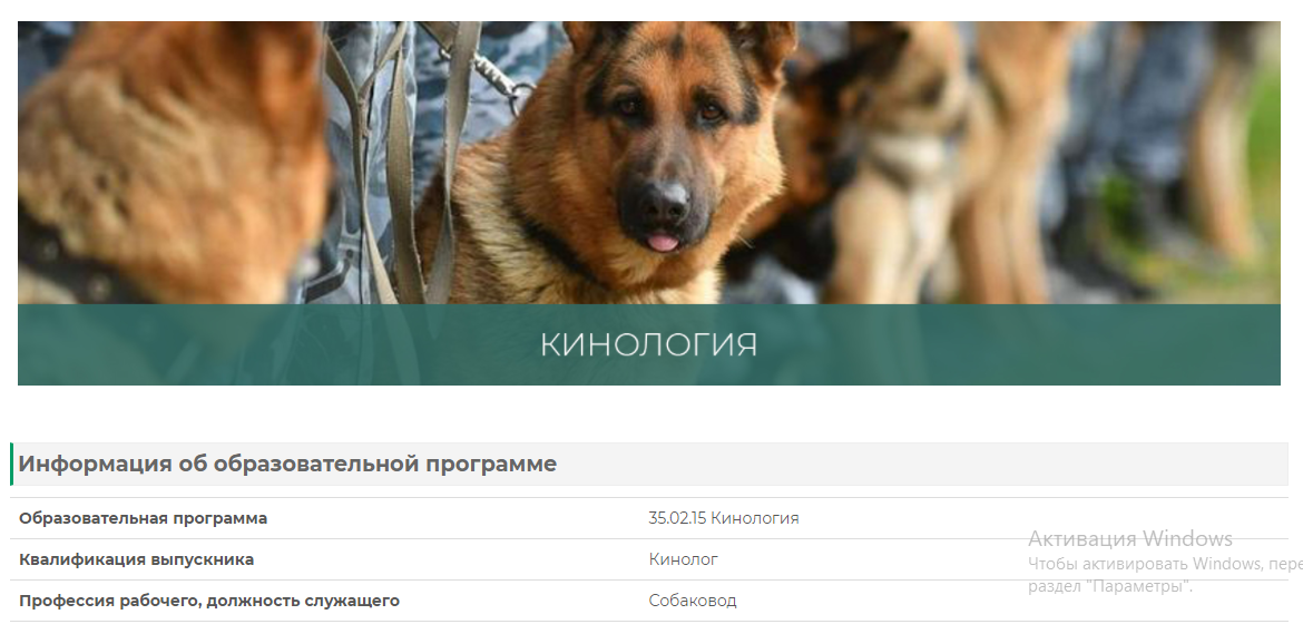 Скрин автора
