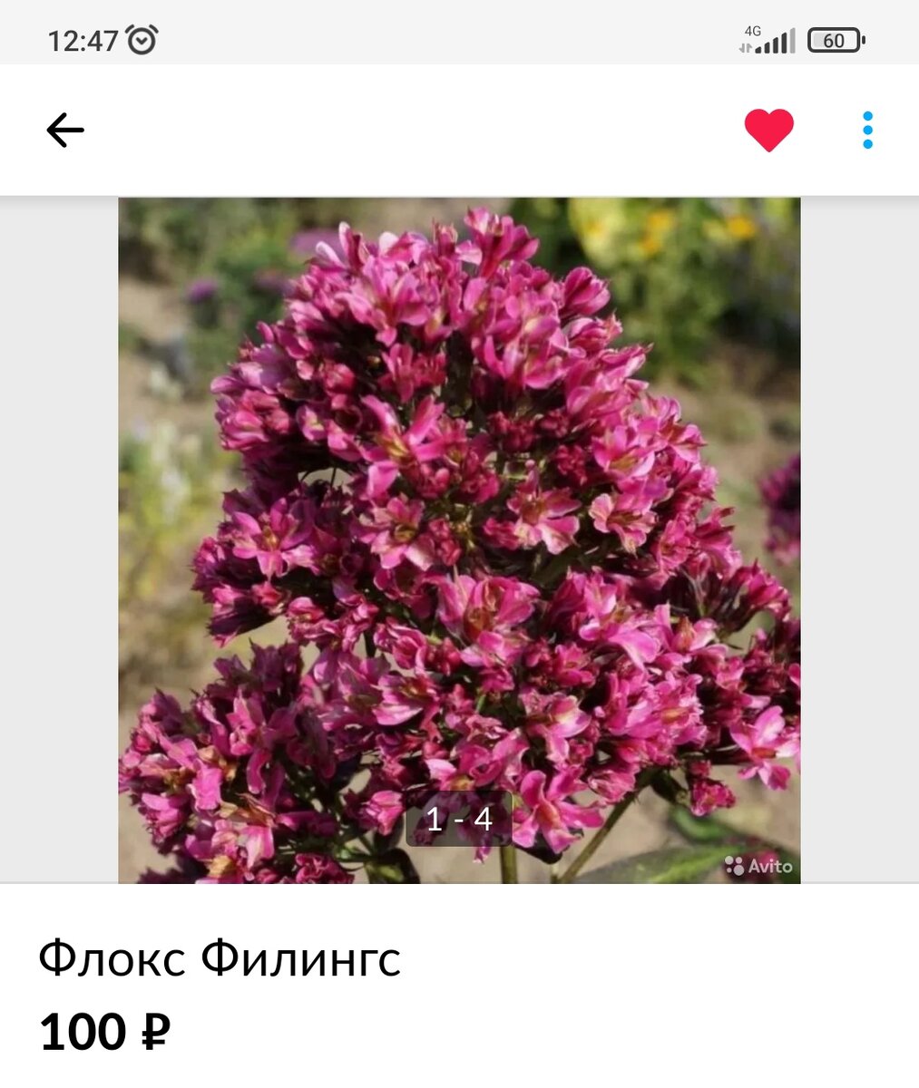 Скрин с Авито