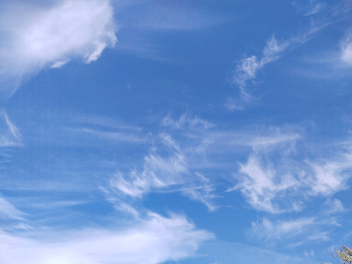 Фото автора канала