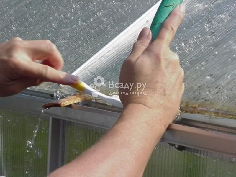 Особо загрязненные поверхности теплицы очищают мягкой щеткой