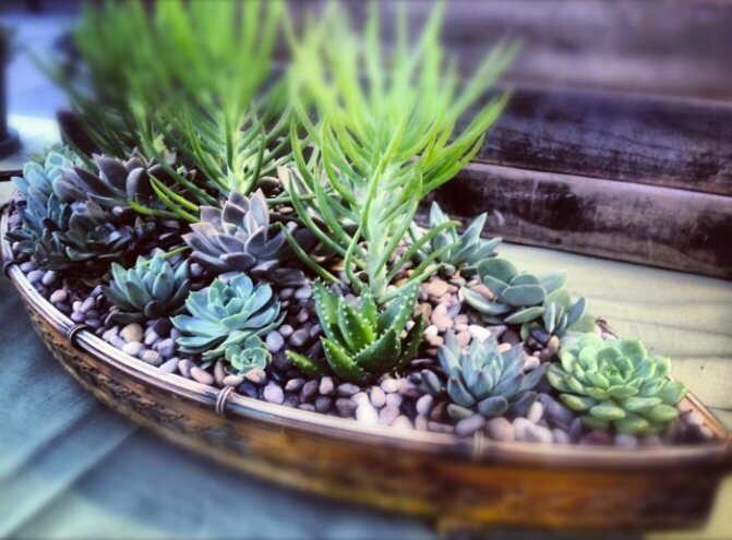 Ссылка на фото https://goo.su/8GVj.