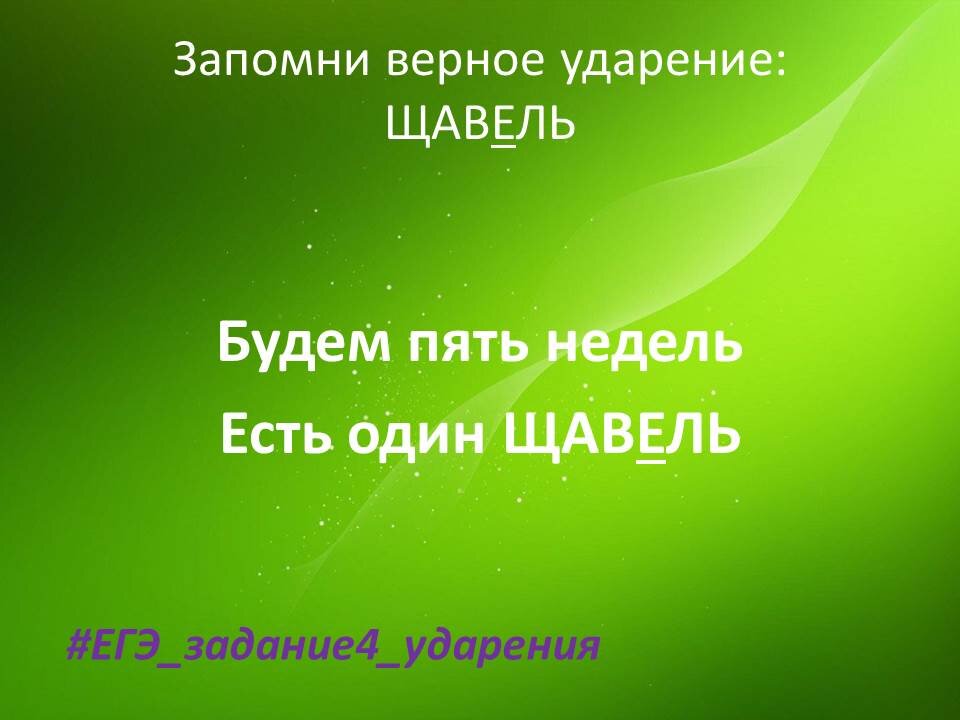 Ударение принял агент повторим щавель