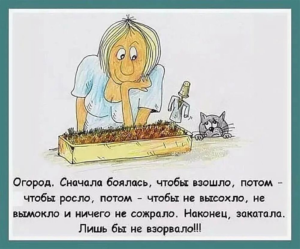 Огород смешные картинки с надписями