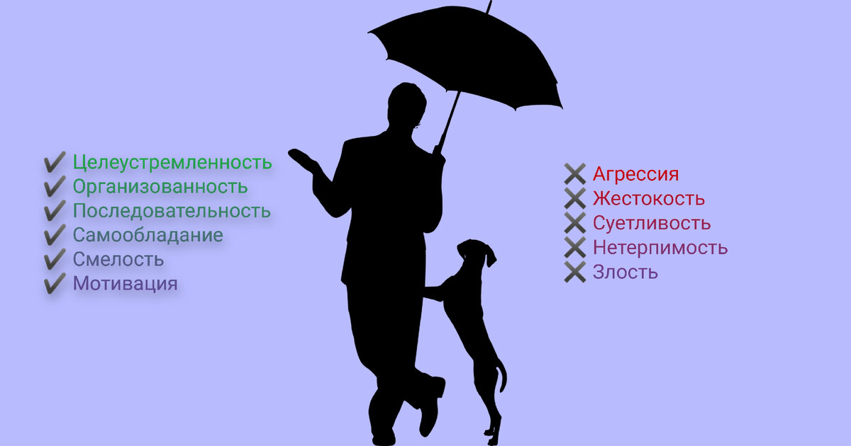 Полезные и вредные  качества и эмоции для воспитания питомца