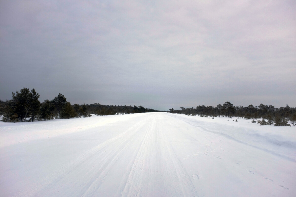 Путь в с. Болчары по зимнику
