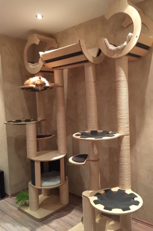 Настоящее дерево для игр: как сделать красивую этажерку для кошки своими руками