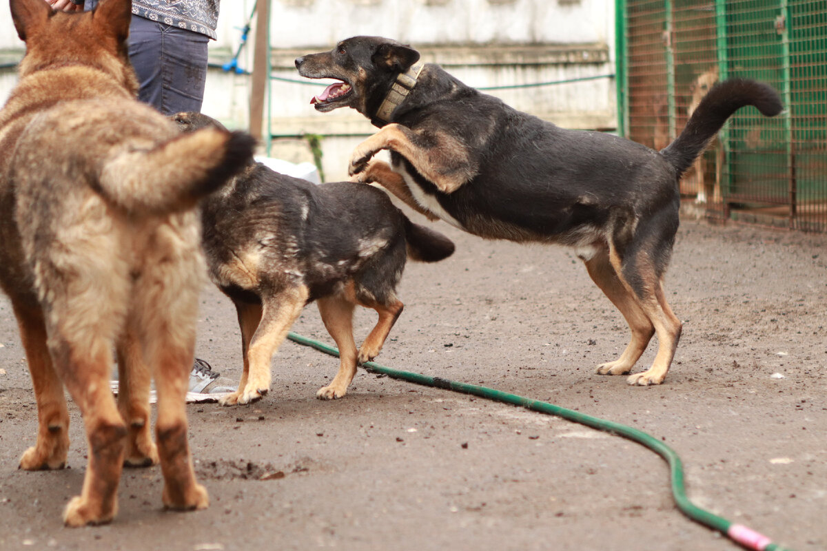 Величайшие сражения жизни происходят изо дня в день в безмолвных тайниках души