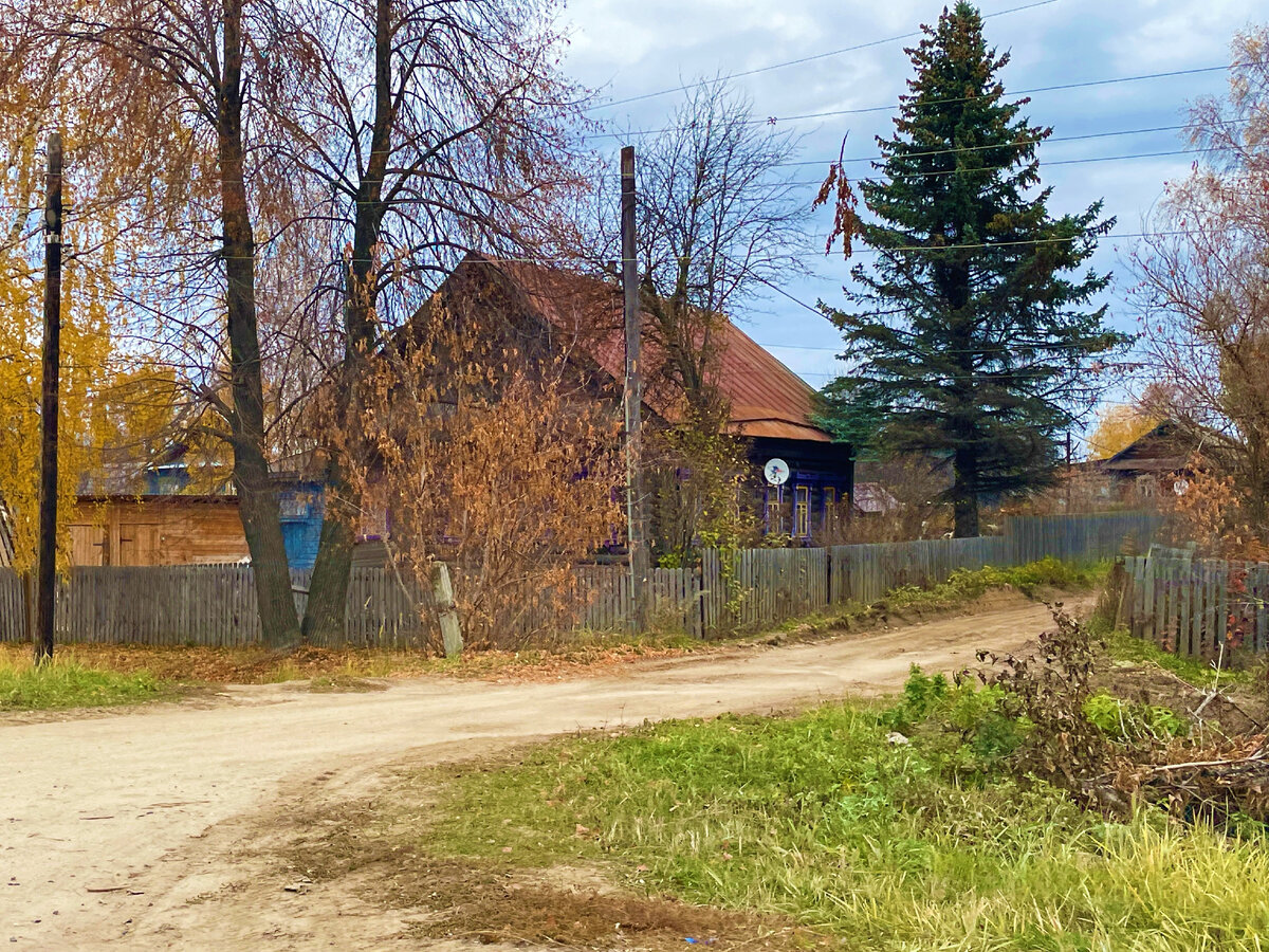 Нижегородский поселок Калиниха, впервые увидела именно здесь самые  оригинальные и необычные ворота у простого дома, показываю | Под зонтиком |  Дзен