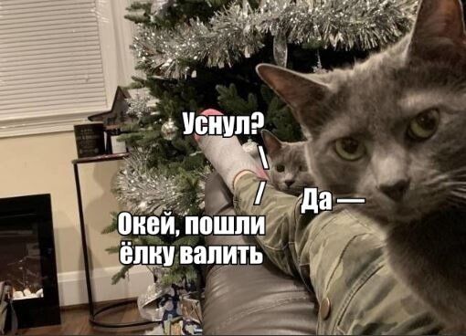 иллюстрация из яндекс картинки.