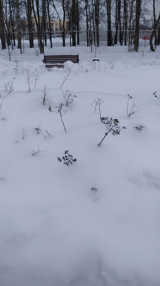 Вот так выглядела окраина парка в районе Дома Культуры. Кстати, оказалось, что колонны в наличии с двух сторон здания. Надо разузнать поподробнее.