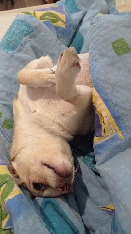 фото из личного архива