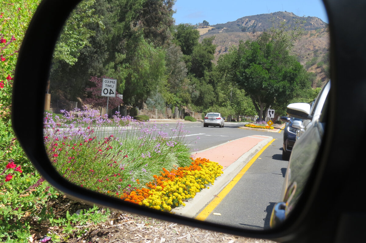Лето 2021 года. Маленький городок Калабасас ("тыквы" по-испански) для знатоков и любителей Лос-Анджелеса. Фото автора. 