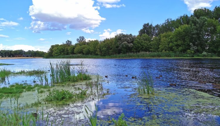 Фото: (с) НИА Экология