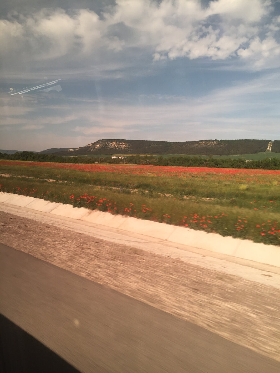 Дорога в Бахчисарай. Цветут маки.