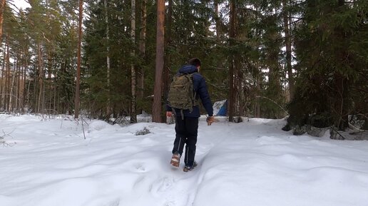 Дотопал до своей избушки - следы зверей, песни птиц, бушкрафт