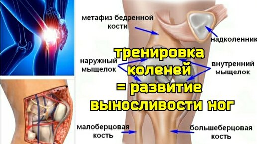 Video herunterladen: Уникальные упражнения для коленей. Как сохранить и укрепить мениски?