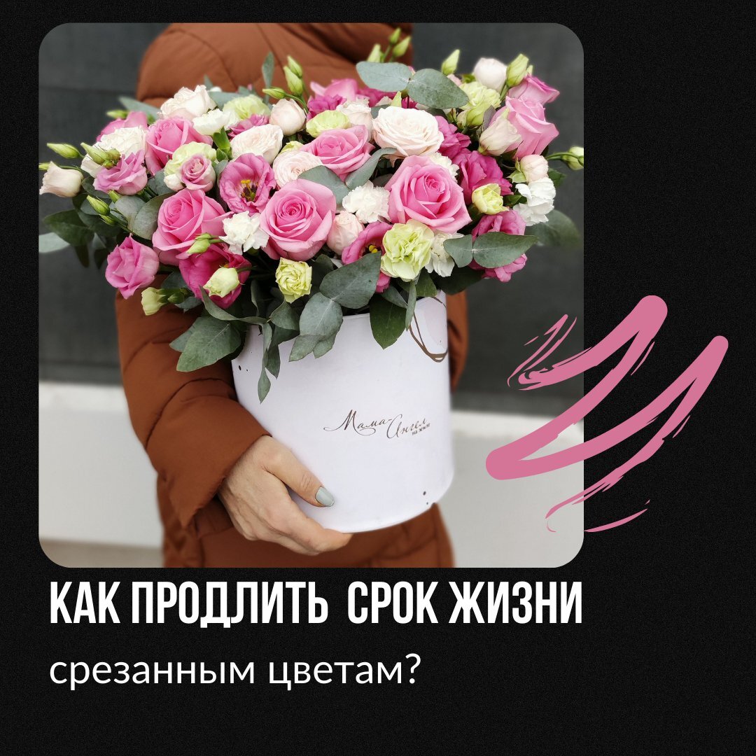 Расскажу несколько #лайфхаков 
🌿Обязательно подрезать цветы секатором или острым ножом перед тем, как поставить в воду. Желательно под углом 45 градусов. То, что флорист подрезал цветы при сборке букета уже не имеет никакого значения! Нужно обязательно обновить срез цветка и только тогда он начнёт пить воду.

🤔 Приведу понятный пример: кровь течёт из пальца, пока рана не затянется плëнкой. Так и с цветами, только в обратном направлении: вода поступает к бутону только когда цветок подрезан за несколько секунд до того,как попадёт в воду. А потом образуется воздушная пробка и цветы не могут пить, даже если очень хотят)))

🌿Можно добавить средство для продления жизни цветов. Тогда воду можно менять реже, только доливая воды в раствор по инструкции.
Если вы не используете специальную подкормку для цветов, воду менять каждый день и срез цветка обновлять тоже! Листья не должны находиться воде, их нужно удалить.

Иначе в воде образуется много болезнетворных бактерий, которые сокращают жизнь цветов. Если понятнее, то "закупоривают сосуды"

🌿Таблетки аспирина вполне можно использовать, 2-3 шт. на литр воды.

🌿При наличии в букете цветов на флористических удлинителях (чаще всего это орхидеи), необходимо подливать воду в колбу. Цветок её выпивает.

🌿Есть этилензависимые цветы, срок жизни которым сокращает этилен, выделяемый фруктами, например, розы. Поставьте их подальше!

🌿Цветочные композиции в оазисе также не ставить на солнце и доливать 50-100 мл. воды каждый день.

🌿Если вы отправляетесь в дальний путь, и букет будет подарен через несколько часов, попросите флористов сделать мягкую вазу-аквабокс для вашего букета. Цветы доедут до адресата в прекрасном состоянии, тем более в жаркую погоду.

🌿Если букет завял слишком быстро, убедитесь, насколько тщательно вы позаботились о цветах.

Здесь были советы, о которых вы раньше не знали?
