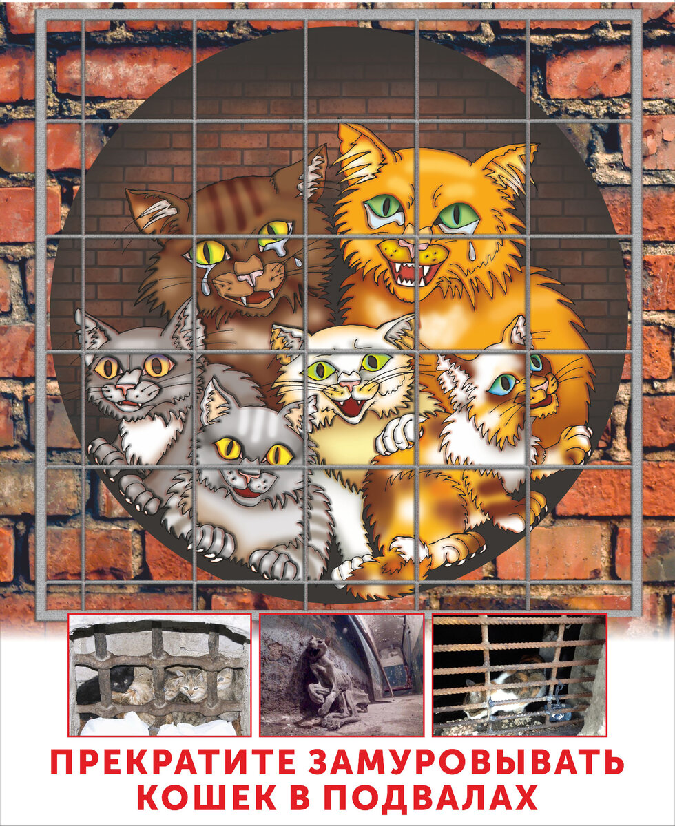 Картина кошки в подвале