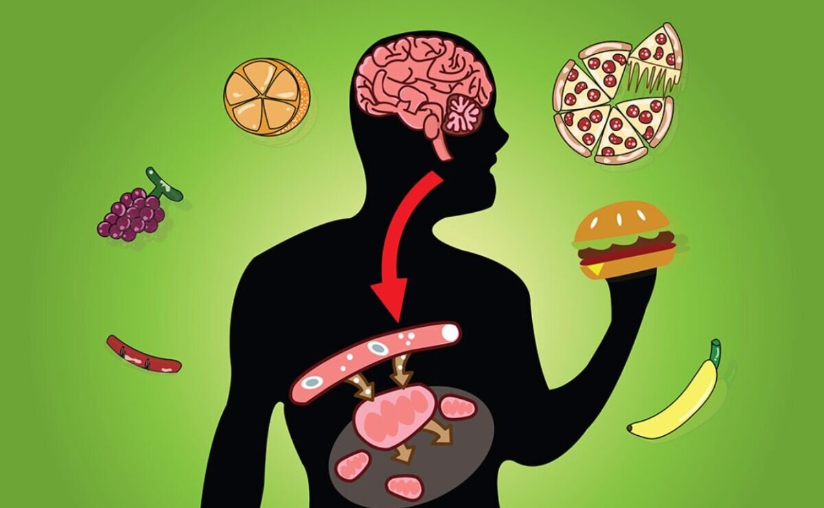 источник яндекс картинки