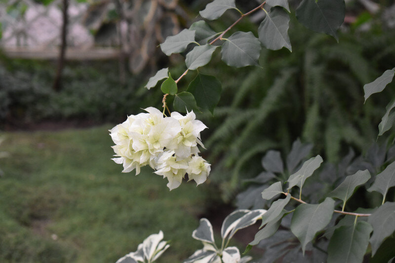 Фото: Юлия Юдина