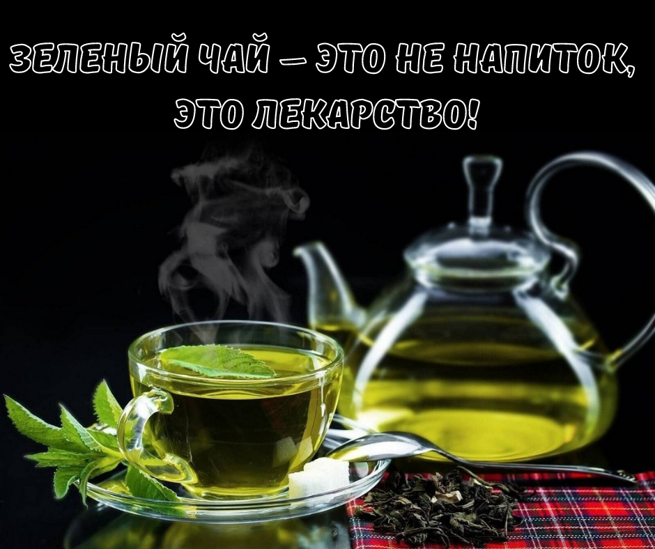 Зеленый чай понижает давление или нет. Зеленый чай. чай зеленый зеленая улитка.