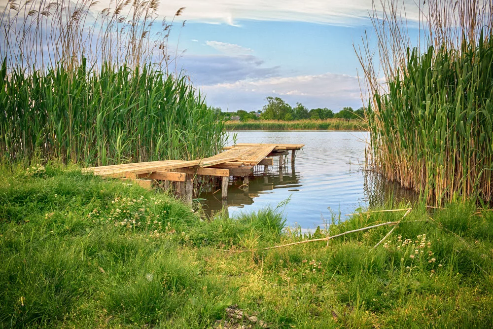 Фото берег реки в деревне