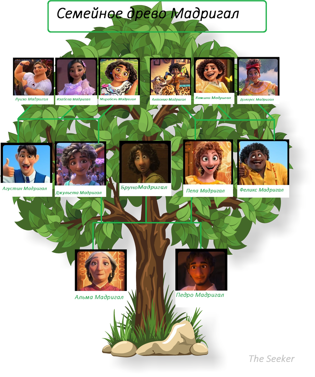 Педро Мадригал † Педро был патриархом семьи Мадригал. Он был мужем Альмы и отцом Джульетты, Пепы и Бруно. 
 Альма Мадригал- матриарх семьи Мадригал. Жена Педро и мать Джульетты, Пепы и 
Джульета Мадригал.Как первенец Альмы и Педро и старшая дочь, сестра Пепы и Бруно.
Пепа Мадригал. Младшая дочь и второй ребенок Альмы и Педро, сестра Джульеты и 
Бруно Мадригал. Младший ребенок и единственный сын Альмы и Педро,  брат Джульеты и Пепы 
Август Мадригал -муж Джульетты и отец Изабеллы, Луизы и Мирабель. 
Феликс Мадригал -муж Пепы и отец Долорес, Камило и Антонио. 
Изабелла Мадригал -старшая дочь и первенец Джульеты и Агустина Мадригалов, сестра Луизы и Мирабель.
Луиза Мадригал - вторая дочь Джульетты и Агустина и средний ребенок, и сестра Изабелы и Мирабель.
Мирабель Мадригал - младшая дочь Джульетты и Агустина, и сестра Изабелы и Луизы.
Долорес Мадригал - единственная дочь и первенец Пепы и Феликса. Сестра Камило и Антонио.
Камило Мадригал - старший сын Пепы и Феликса и средний ребенок. Брат Долорес и Антонио.
Антонио Мадригал - младший сын Пепы и Феликса Брат Долорес и Камило.
