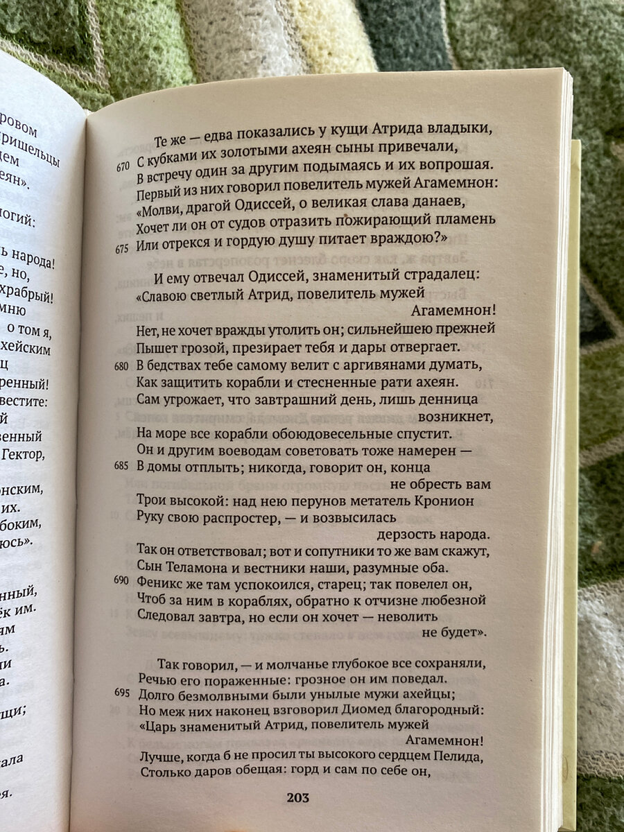 Пример из произведения «Илиада»